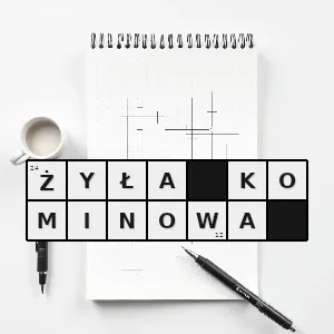 Rozwiązanie krzyżówki: intruzja magmowa o kształcie walca o niewielkiej średnicy zlokalizowana w kominie wulkanicznym - żyła kominowa | hasła, synonimy i podpowiedzi Hasło krzyżówkowe intruzja magmowa o kształcie walca o niewielkiej średnicy zlokalizowana w kominie wulkanicznym - żyła kominowa – rozwiązanie, synonimy, podpowiedzi i definicje krzyżówkowe